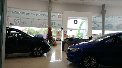 GWM - Visual