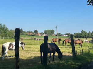 Photo n°9 de Ecuries j-c stable à Mérignies (Club équestre)