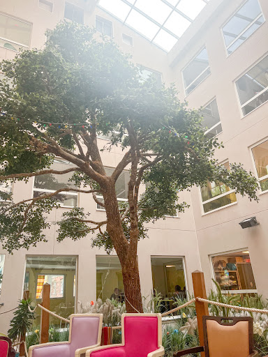 Photo de Ehpad associatif Adef Résidences la Maison des Glycines