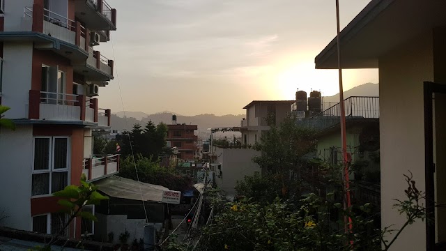 The Yellow House