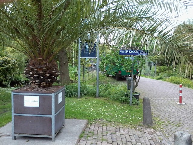 Hortus Botanicus