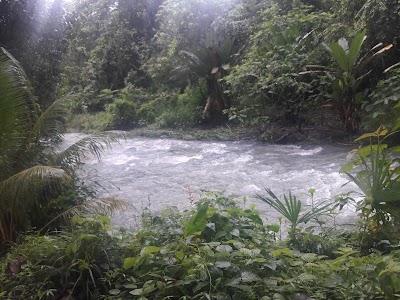 Photos of Hostel Tortuga