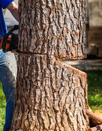 Photo n°7 de Malla Alain à Guéret (Service d'élagage)