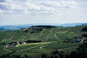 Photo n°2 de Château du Moulin-à-Vent à Romanèche-Thorins (Attraction touristique)