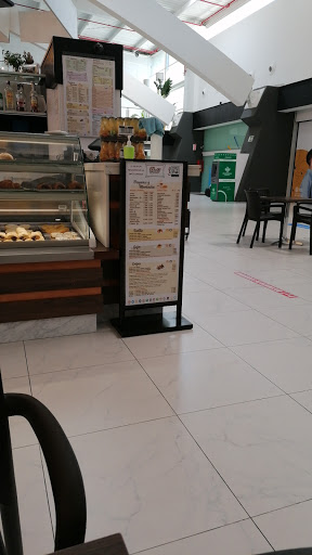 Vadó - Visual