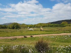 Mountain View Ranch cardiff
