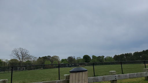 Twelve Pines Park (Southaven Avenue) - Thumbnail