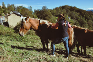 Photo n°3 de Emma Bastos Ostéopathe Animalier en Ariège à Tarascon-sur-Ariège (Ostéopathe)