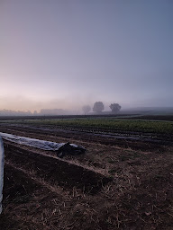 Photo n°16 de La Ferme de Parrète à Condom (Maraîcher)