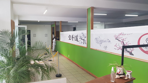 Karate Do Gojukan Plaza Olivos - Thumbnail