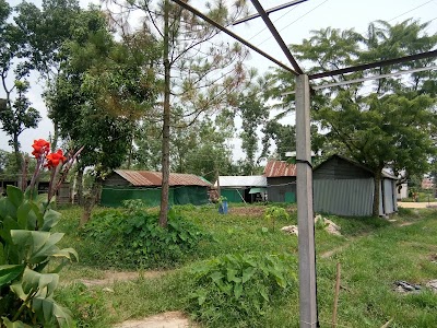 Photos of Seha Bangladesh Ltd