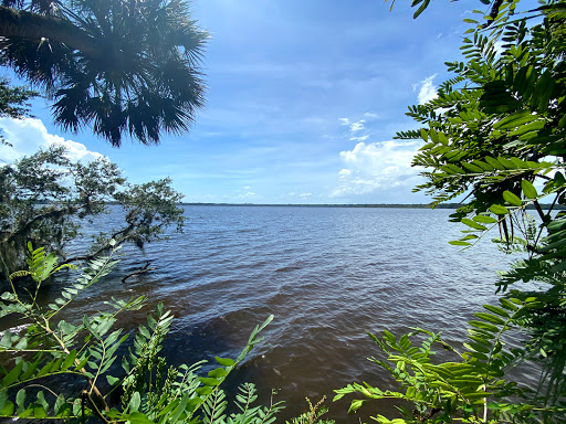 Orange Point - Welaka State Forest - Thumbnail