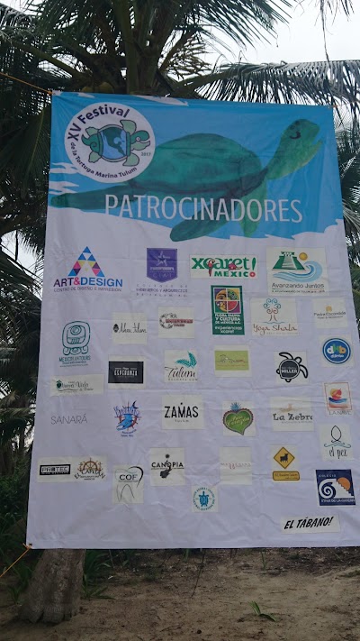Photos of Tortuga Marina Sanctuary