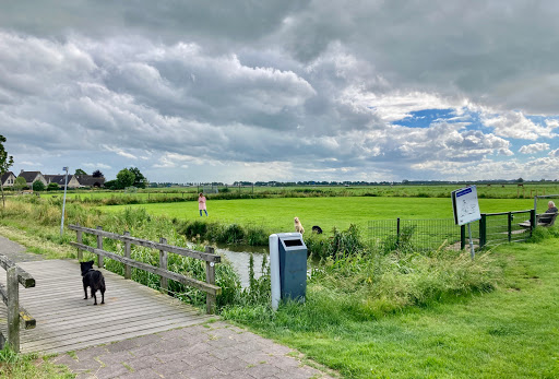Honden uitrenveld