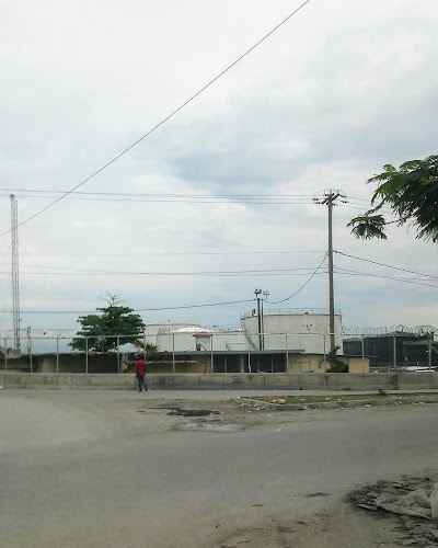 Photos of Shell