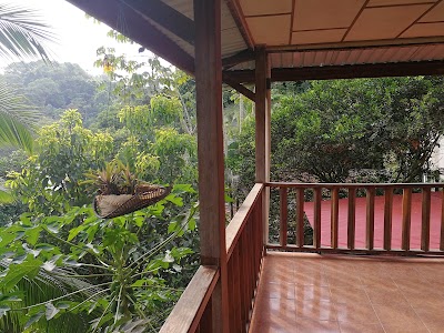 Photos of Hakuna Matata Drake Bay Hostel