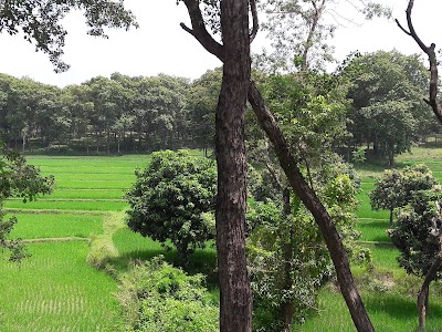 park
