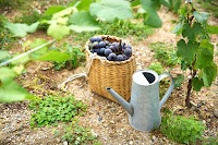 ドメーヌケロス