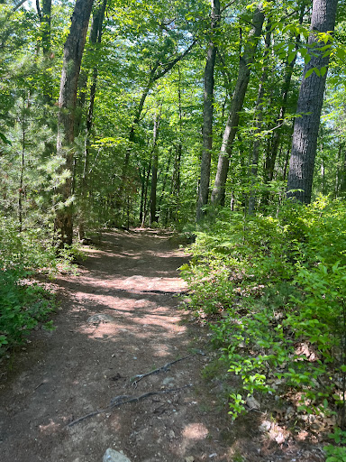 Noon Hill Reservation Trail Head - Thumbnail