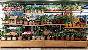 Photo n°26 de Monceau Fleurs à Auterive (Boutique de cadeaux)