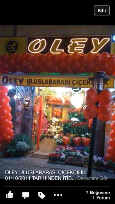 Photos of Oley Uluslararasi Cicekcilik