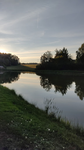 Gaststätte - Pension Zum Grünen Wald - Thumbnail