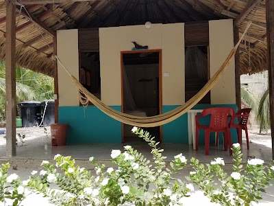 Photos of Ecohotel Playa Libre