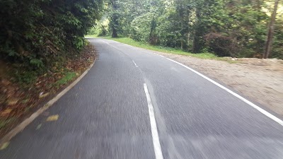 photo of Kudut's Curve