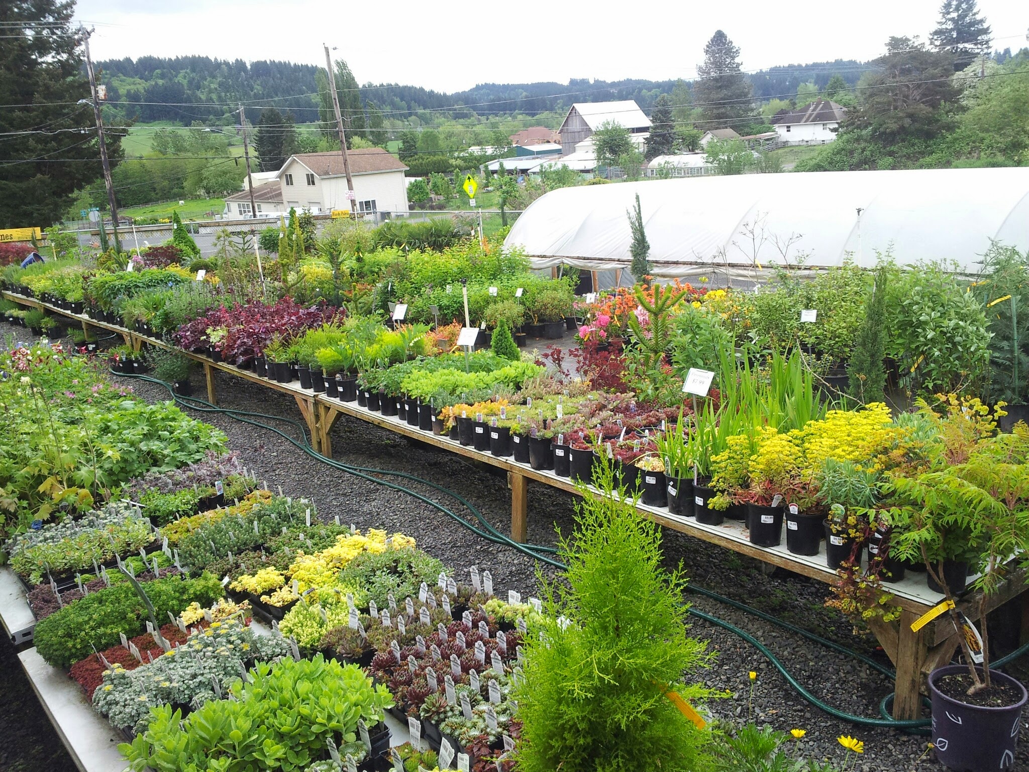 Tony's Garden Center