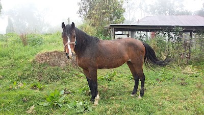 Photos of Nevado del Tolima