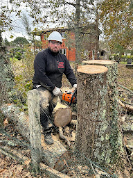 Photo n°13 de KN NACELLE Elagueur, couvreur taillage, abattage entretien, nettoyage Toiture entretien, parcs et jardins à Gisors (Couvreur)