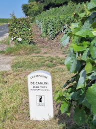 Photo n°26 de Champagne De Carlini Jean-Yves à Verzenay (Établissement vinicole)