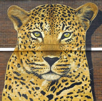 Photos of Kloof High School