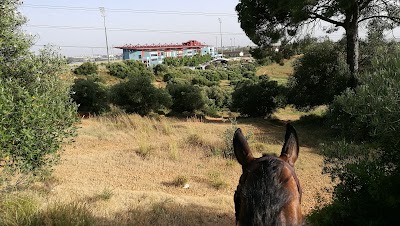 Photos of Look Sevilla - Hip&oacute;dromo