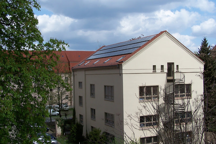 Naturschutzjugend Landesverband Brandenburg e.V. photo