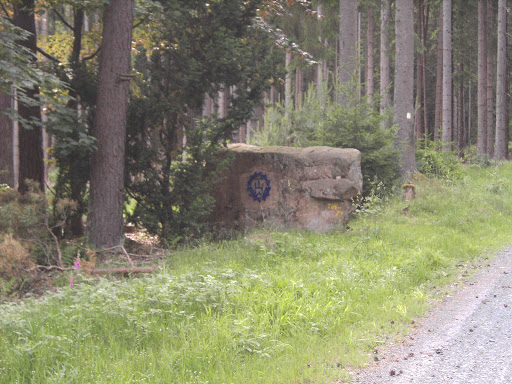 THW Stein - Thumbnail