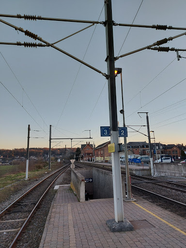 Beauraing - Visual