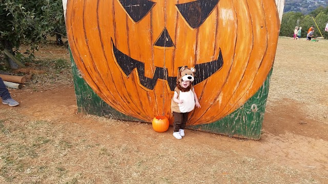 Carter Mountain Orchard