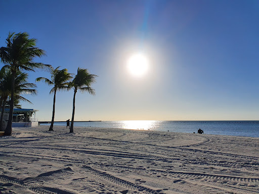 Higgs Beach - Visual