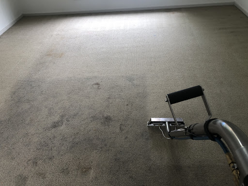Tiger Carpet Cleaning - Thumbnail