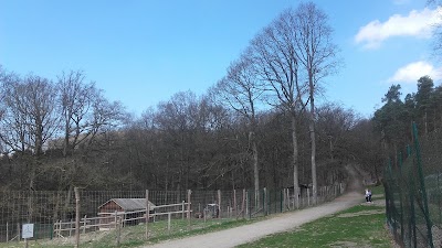 Photos of Le Parc &agrave; Gibier de La Roche