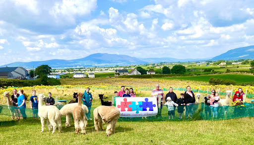 Cranfield Alpacas, Winner- Best Tourism Experience in Northern Ireland - Thumbnail