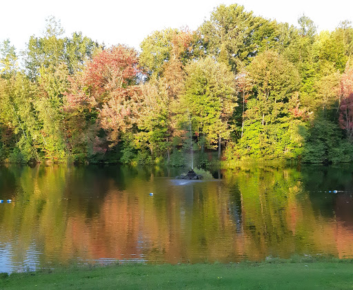 Camping Fairmount - Visual