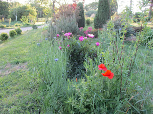 Photo n°8 de Kerauffret 2 - Gîtes de France à Camors (Lodge)