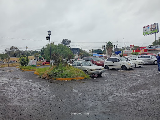 Plaza Comercial La Piedad - Thumbnail