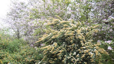 Photos of Pearl River Park