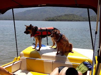 Whiskeytown lake