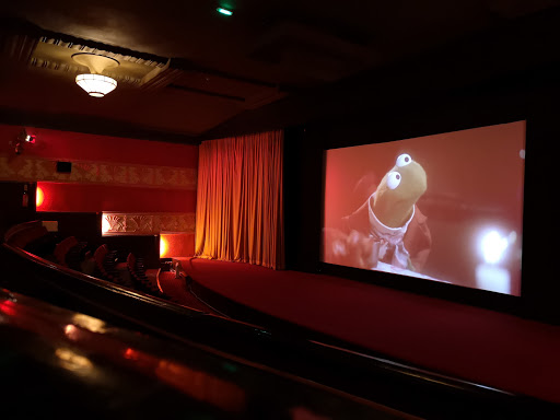 Roxy Cinema - Visual