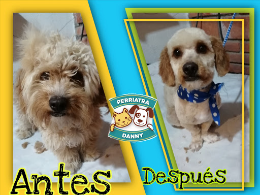 Veterinaria Perriatra Danny