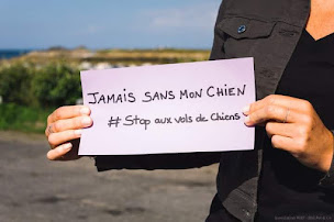 Photo n°6 de Association WAF à Lampaul-Plouarzel (Association pour la protection des animaux)